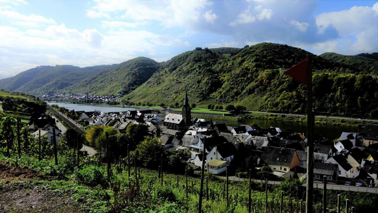 Ferienhaus Erich Bremm Mit Moselblick Neef エクステリア 写真